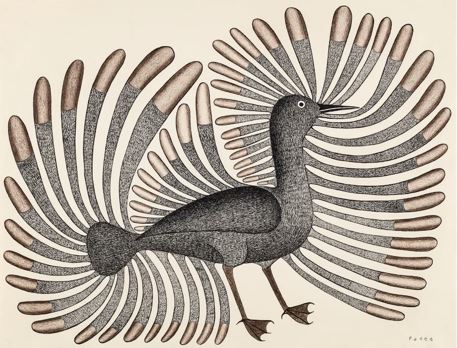 Kenojuak Ashevak - Inuit Art Prints and Drawings - Inuit Artists