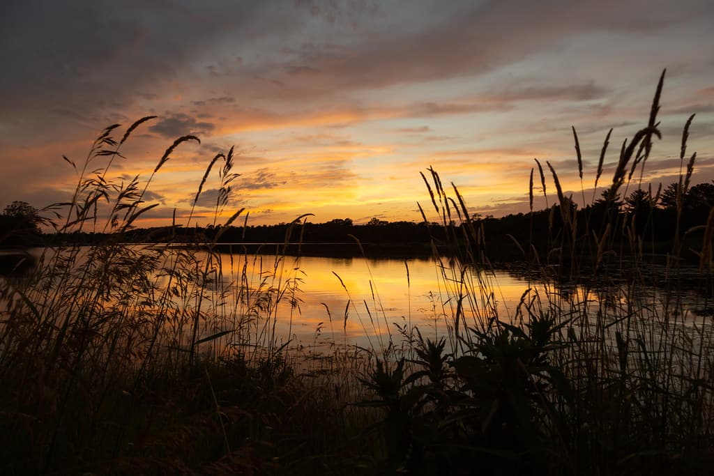 Prairie Rose Lake Sunset | Ken Krach | Flickr