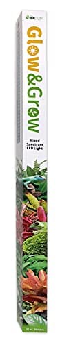 The Bio Dude 6" Glow & Grow Best Plant Growth Reptile & Amphibian LED Bulb for terrariums