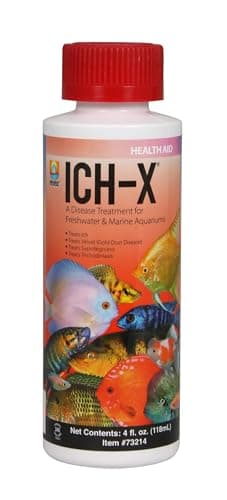 Hikari Ich-X