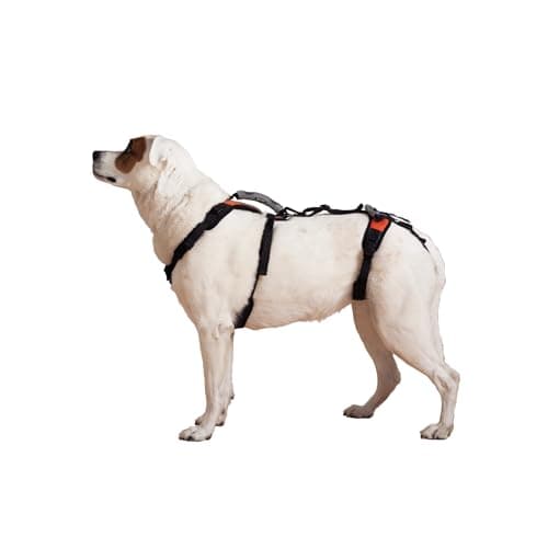 Help Em Up Harness