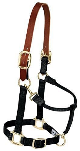 Weaver Leather Nylon Adjustable Breakaway Horse Halter, Small, Raspberry
