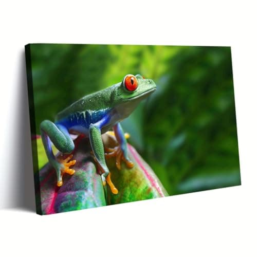 Framed Print. Bright and Beautiful Tree Frog – PictureMyPast