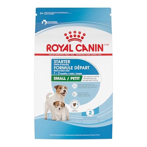 Royal Canin Starter Mother & Babydog