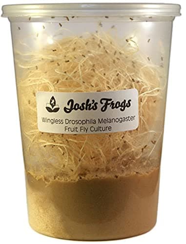 JOSH'S FROGS Producing Wingless Drosophila Melanogaster Fruit Fly ...