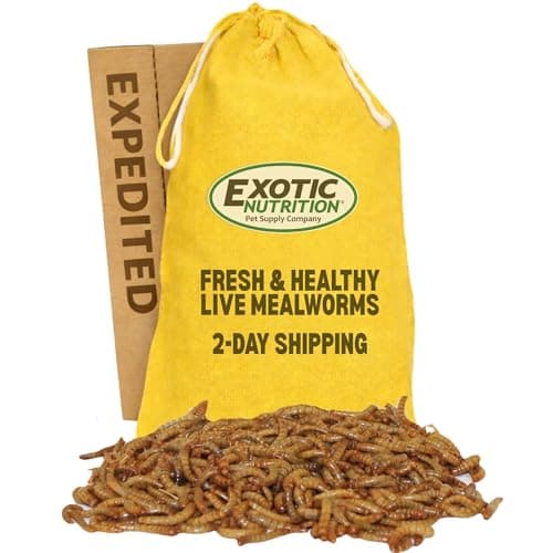 EXOTIC NUTRITION Live Mealworms Reptile Food, Medium, 250 count - Chewy.com