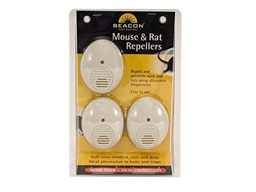 Vacant buildings vulnerable to rodents in Ireland, says Rentokil
