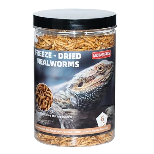 Rainbow Mealworms and Crickets