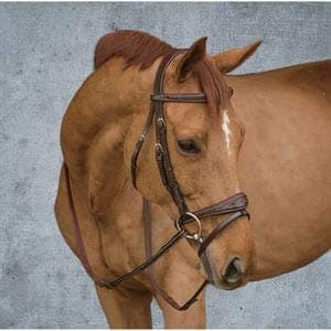 Dy'on New English Collection Flash Noseband Bridle | Just Equine