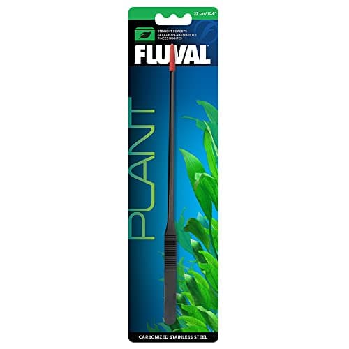 Fluval Premium Betta Kit 10L | Aquatic Supplies Australia