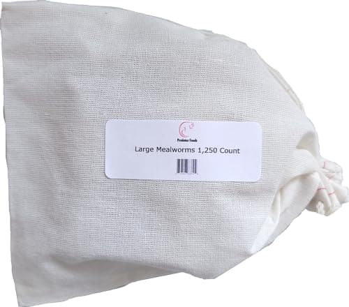 Isolated Live Mealworms Darkling Beetle Larvae Stock Photo 1295452903 ...