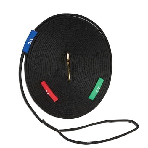 Buy Two Tone Lunge Line With Circle Markers Online - KINCADE | Horseland