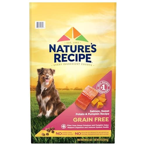 American Journey Salmon & Sweet Potato Recipe Grain-Free Dry Dog Food ...
