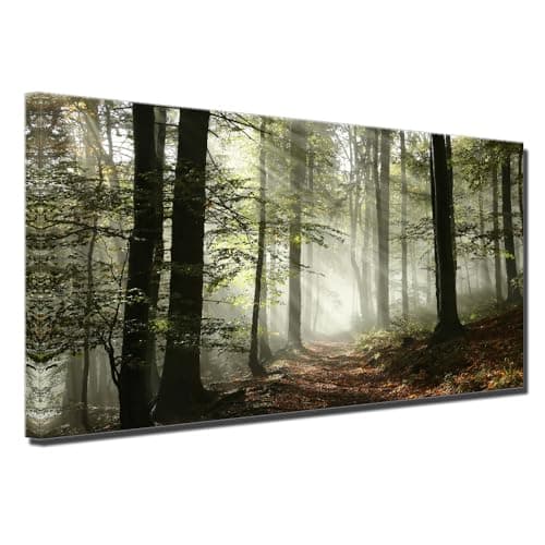 Amazon.com: Large Artwork Foggy Forest Canvas Wall Art Landscape ...