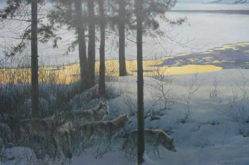 Wolfpack In Moonlight Unframed Canvas | Robert Bateman Art