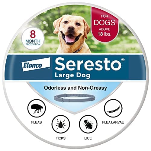 Seresto Vet-Recommended 8-Month Flea & Tick Prevention Collar for Small ...