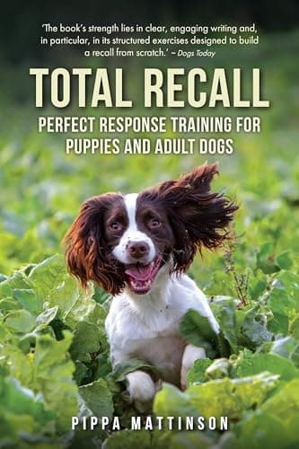 By Pippa Mattinson - Total Recall