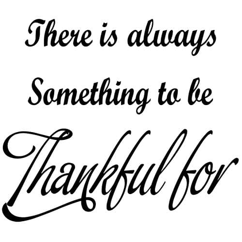 Thankful and Grateful Inspirational Vinyl Wall Decal VWAQ - Version 1