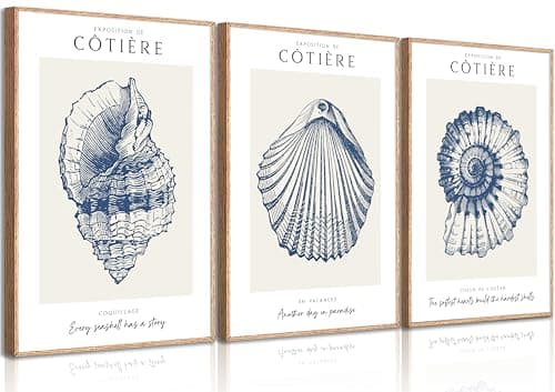 Beachcrest Home Coastal Treasures Sunset Seashell II - Coastal Beach ...