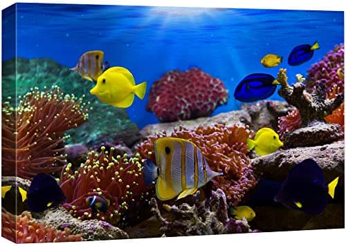Wall26 Canvas Prints Wall Art - Coral Reef and Tropical Fish in ...