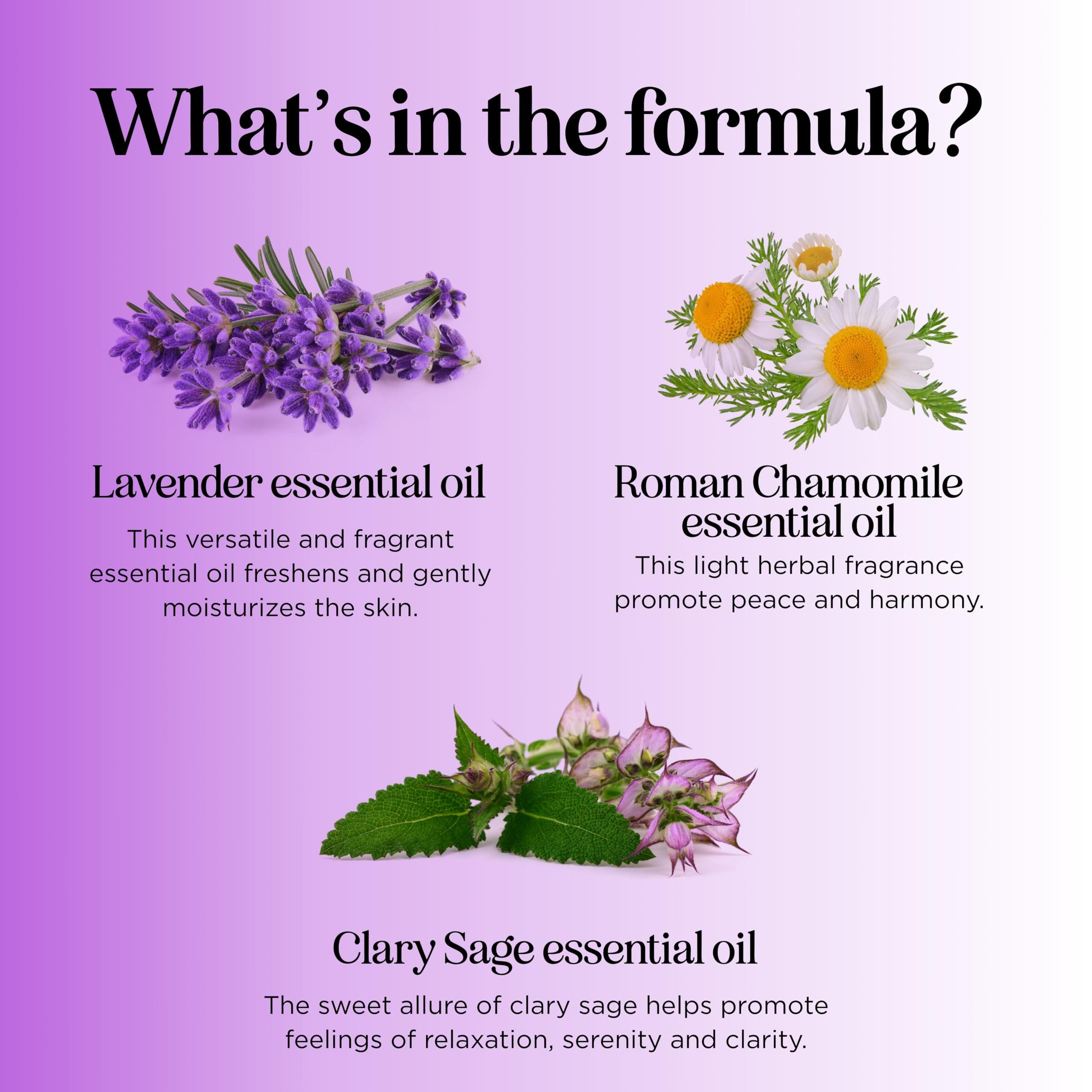Amazon.com: Premium Lavender Bubble Bath Soak - Aromatherapy ...