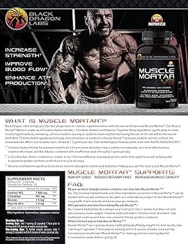 Amazon.com: Muscle Mortar Creatine HCL | Increase Strength ...