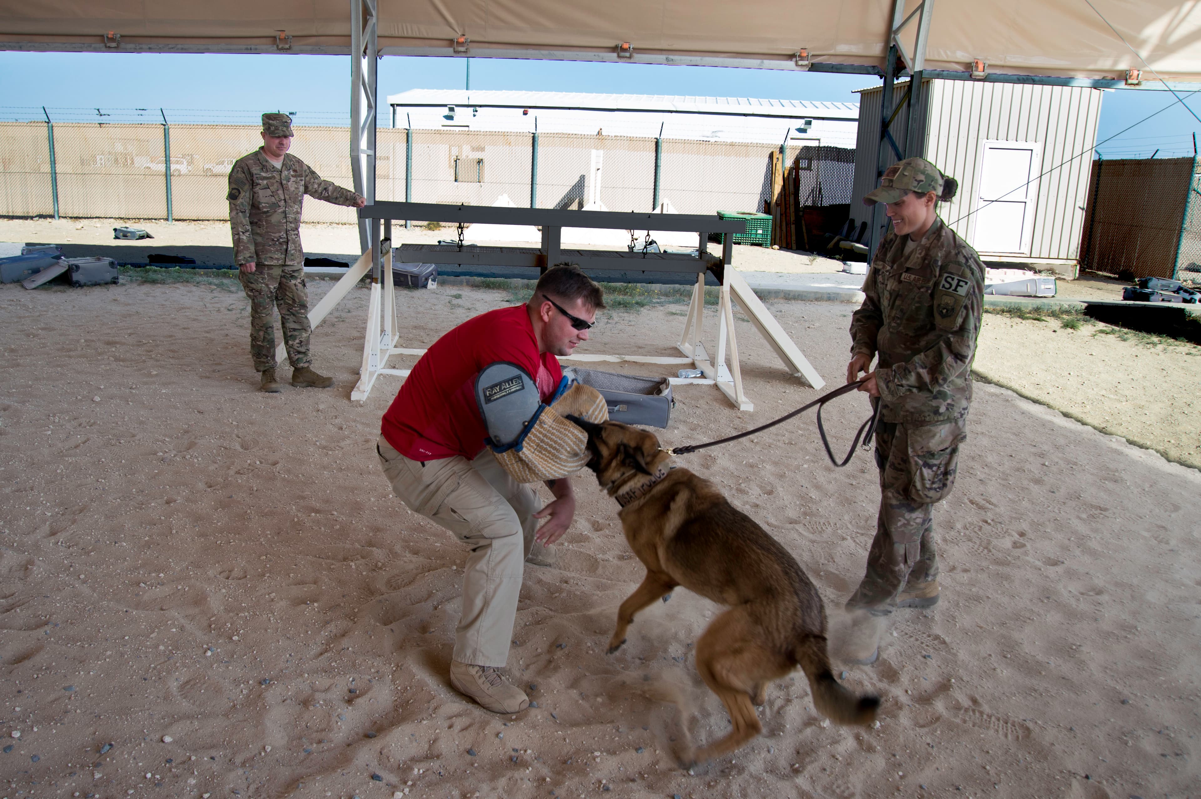 K9 Dog Handler Training at Charles Casale blog