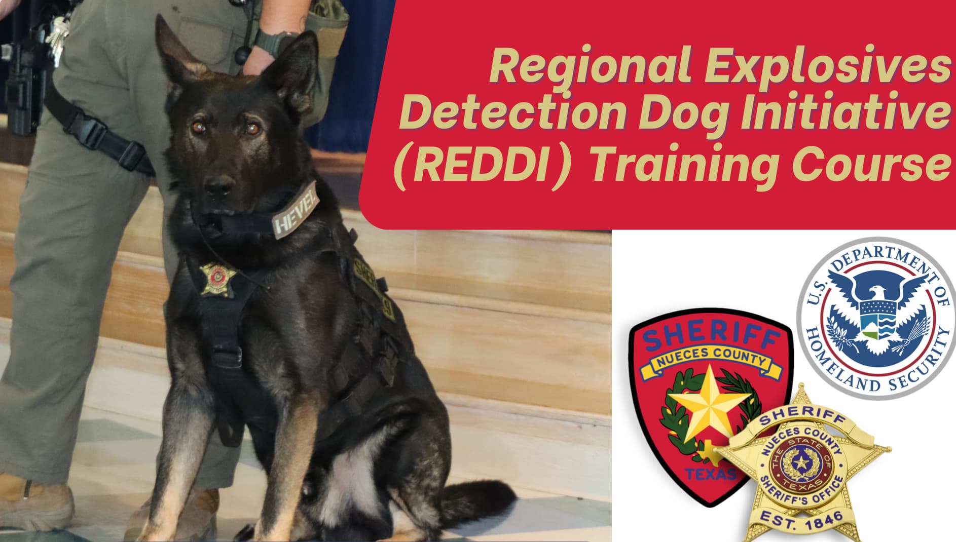 REDDI Training Course - National Narcotic Detector Dog Association