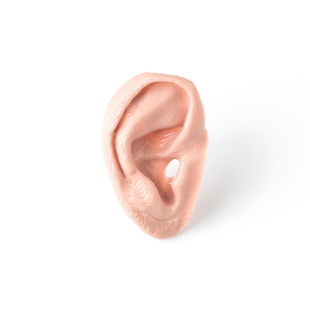 Silicone Ear Prosthesis - کلینیک ارتوپدی فنی پارسه