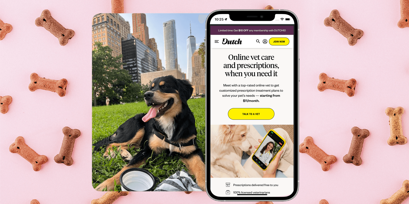 1800 Pet Meds vs. Dutch: Comparing Virtual Vet Care Options | Dutch