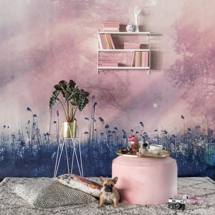 Rebel Walls: The Daydreamer Collection