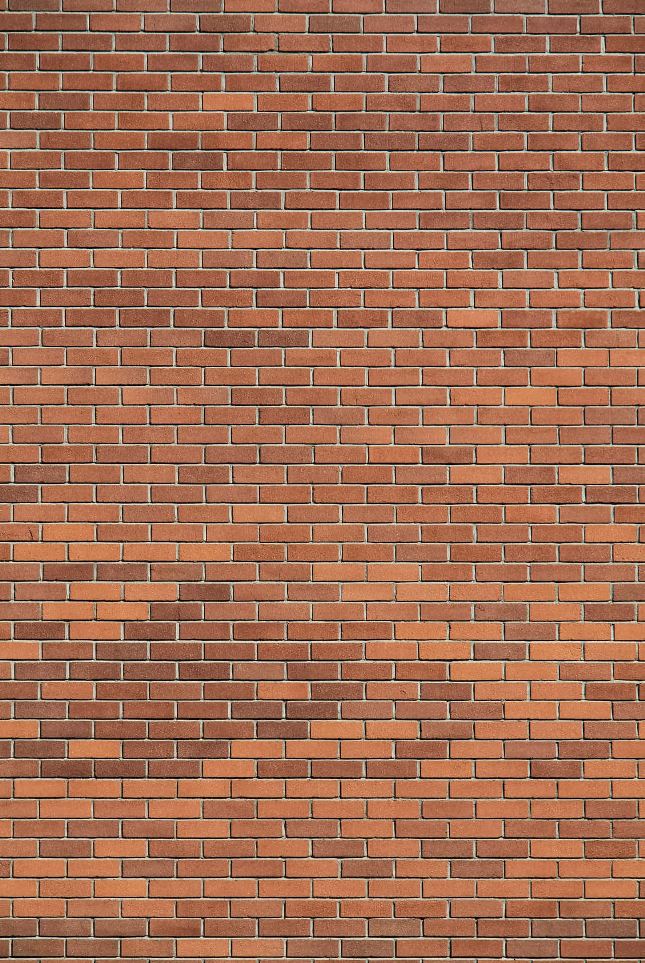 Download Brick Texture Pictures | Wallpapers.com