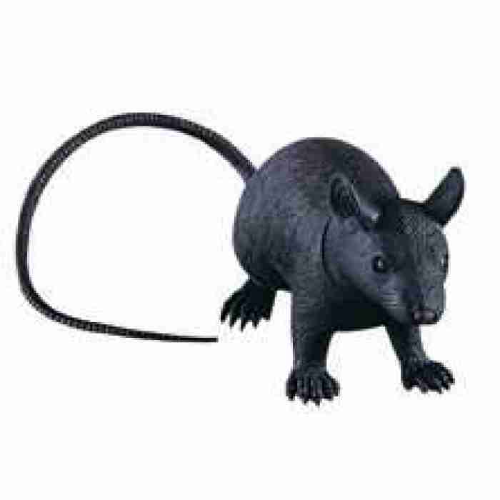 Jumbo Rubber Rat - Carnival Store