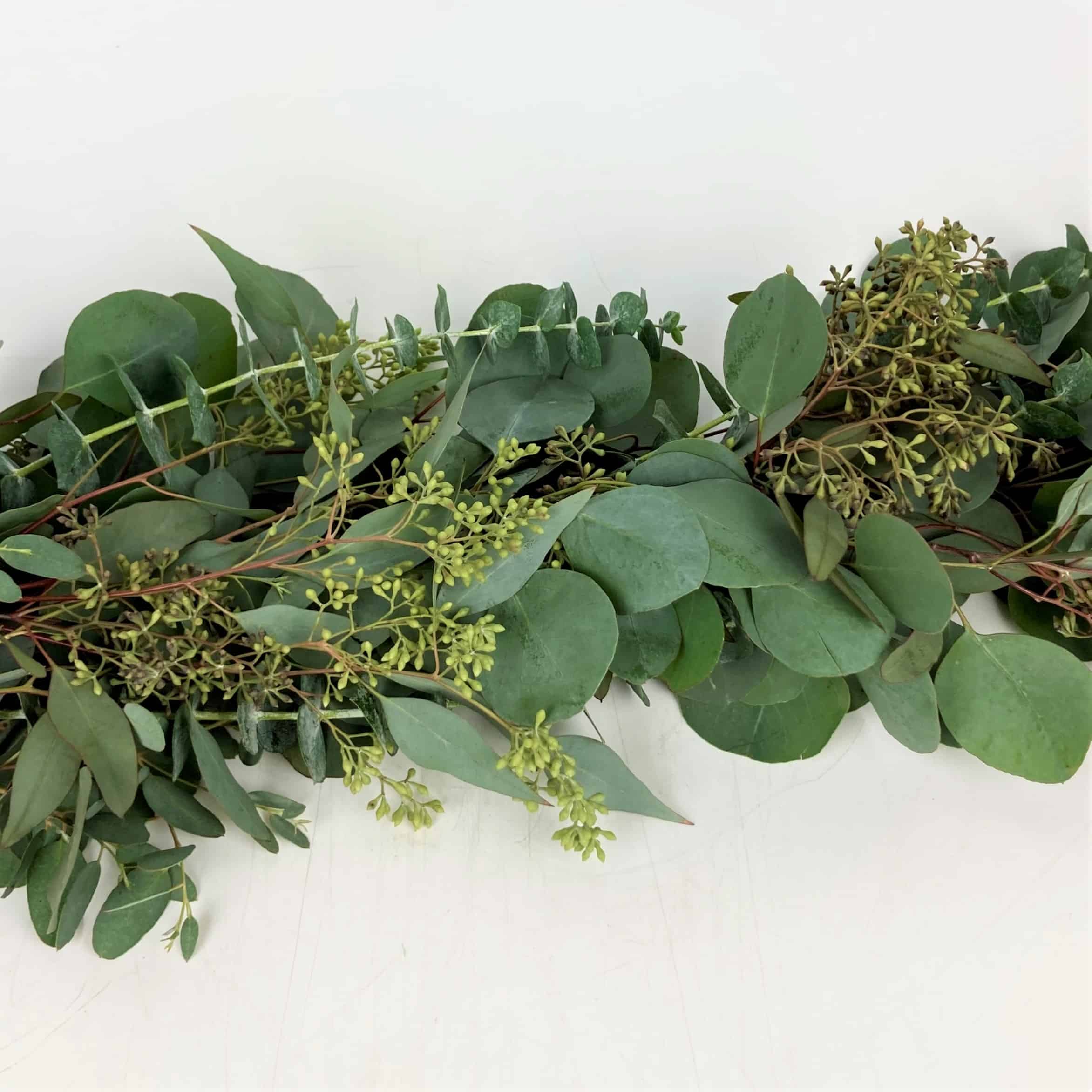Greenery Garland - Eucalyptus - Wholesale Bulk Flowers - Cascade Floral