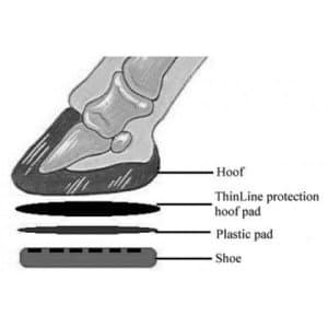 ThinLine hoof protection pads - The Comfy Horse Company