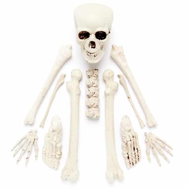 Bag of Skeleton Bones - Halloween Props - Next Day Delivery