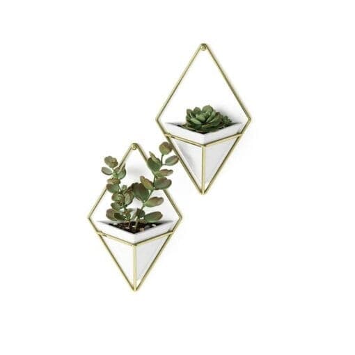 20+ Unique Garden-Inspired Gifts for Plant Lovers