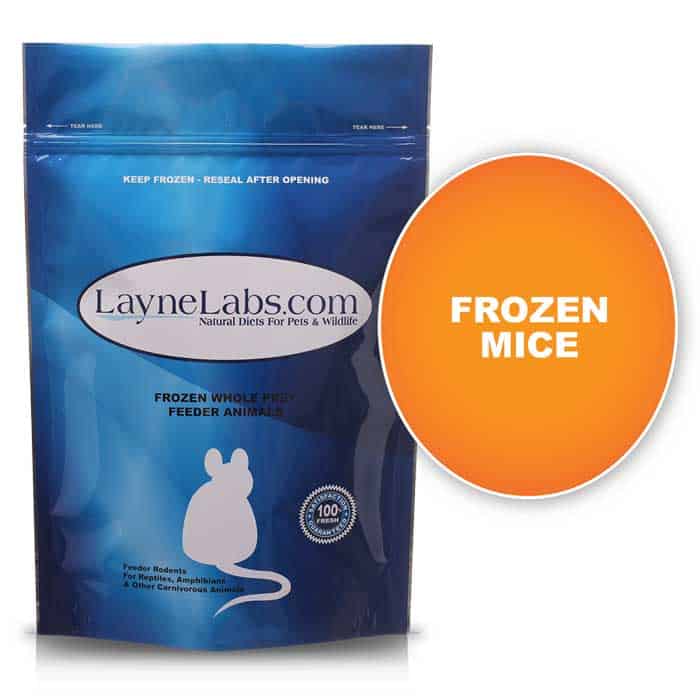 Layne Labs Home - LayneLabs.com