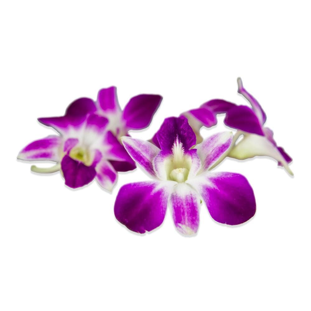 Edible Orchids in Bulk (Karma Orchids) | Marx Foods