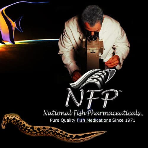 Contact National Fish Pharmaceuticals