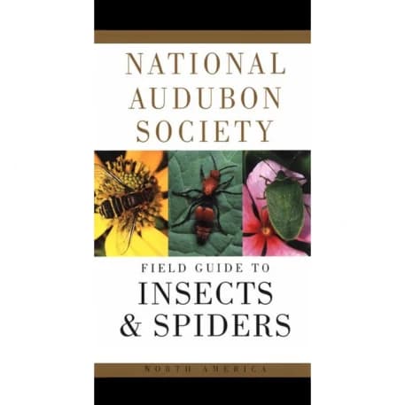 Insects and Spiders: National Audubon Society Field Guide - Insect ...