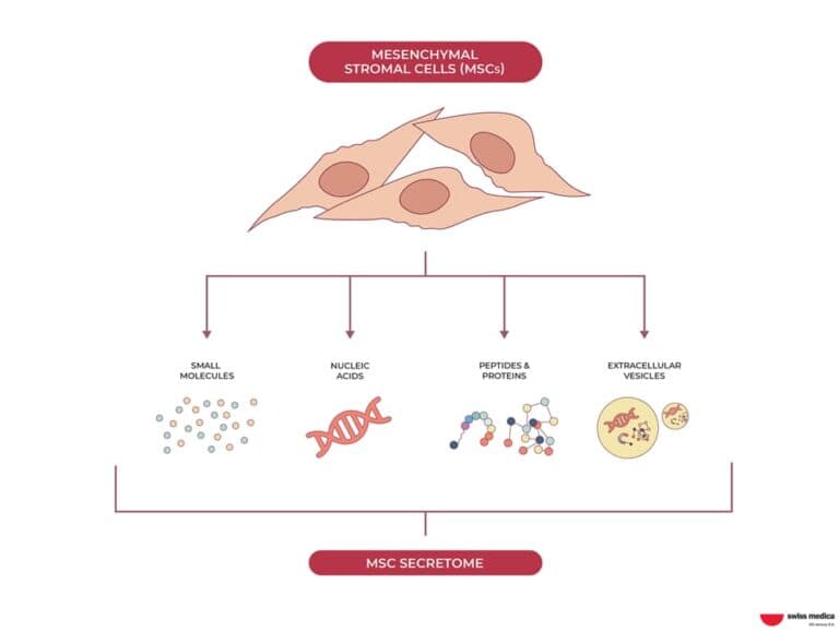 Cell-Free Therapy: The Power of Exosomes and Secretome in Regenerative ...
