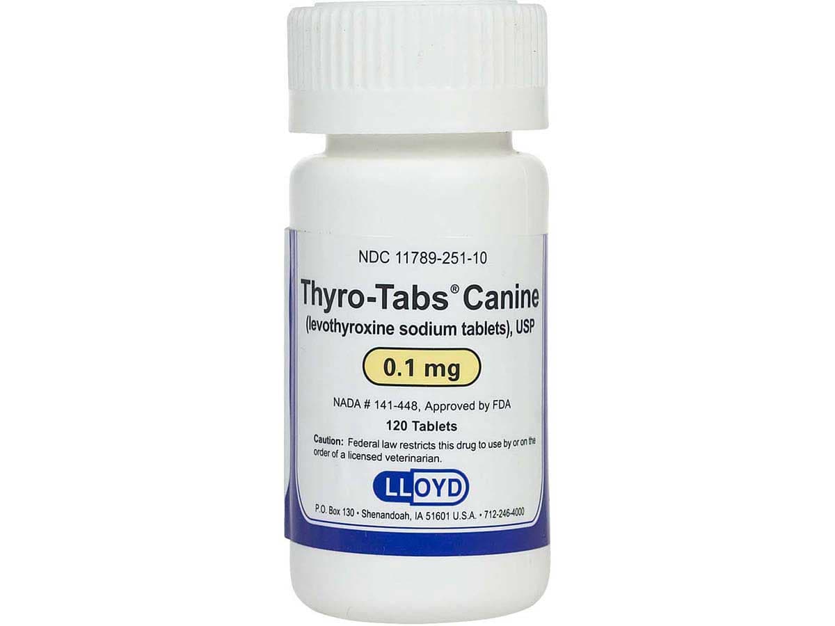 Thyro-Tabs Canine Lloyd - Safe.Pharmacy|Hormone | Dog Rx | Pet