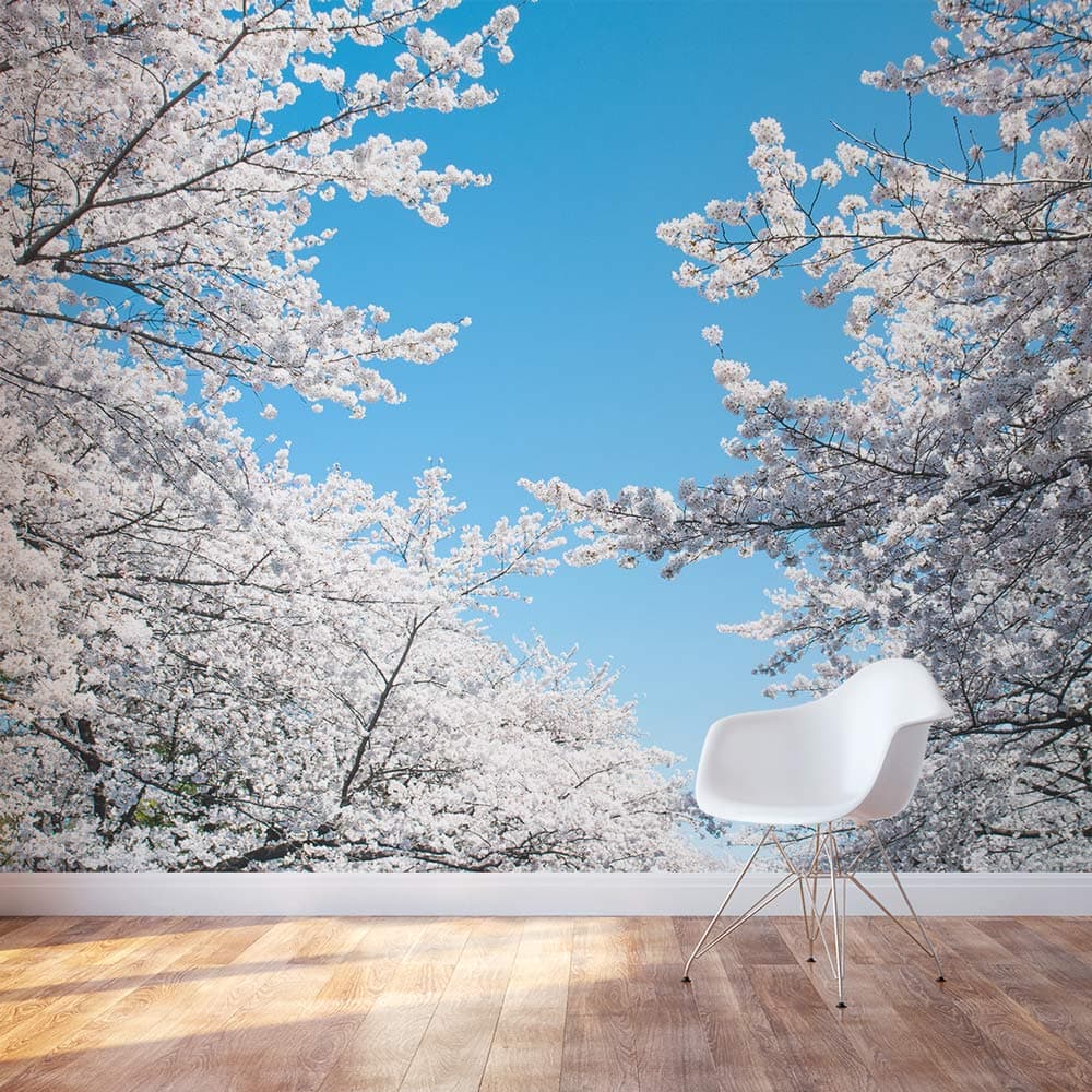 Cherry Blossom Wall Mural