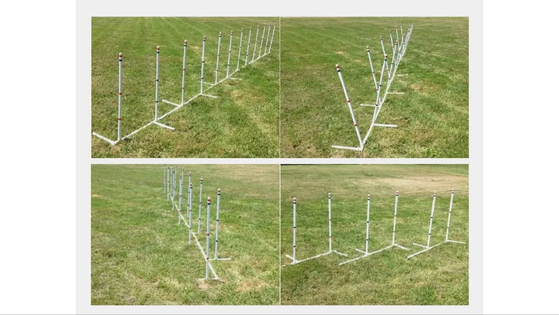Weave Poles - Zippydogs Agility