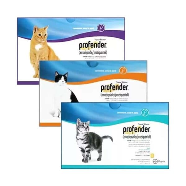 Profender Topical Solution for Cats | 1Family 1Health Pharmacy