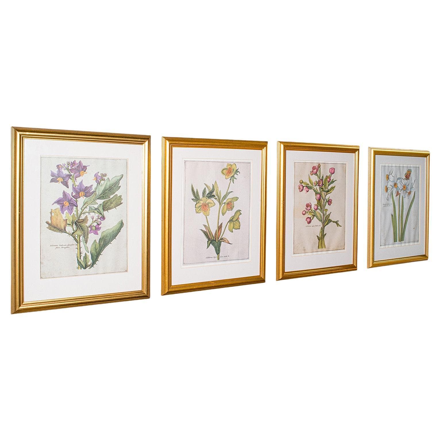 Set Of 4 Vintage Botanical Prints, English, Framed Engravings, Flower ...