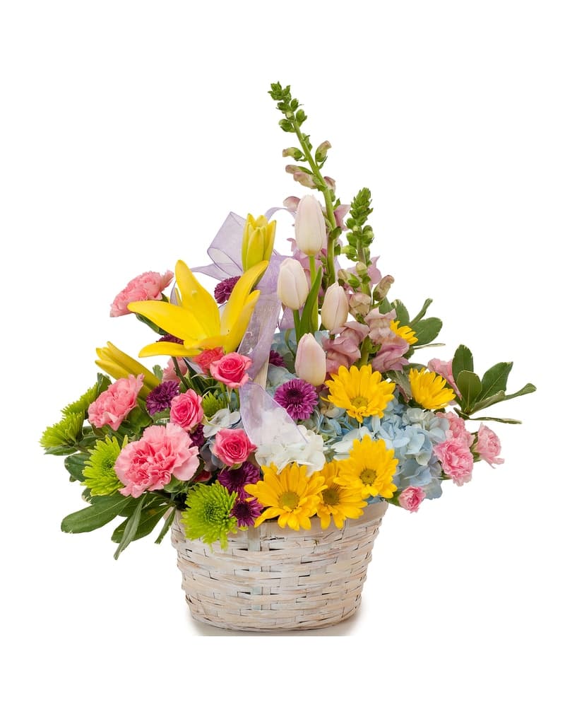 Spring has Sprung Basket in North Babylon NY - Towers Flowers