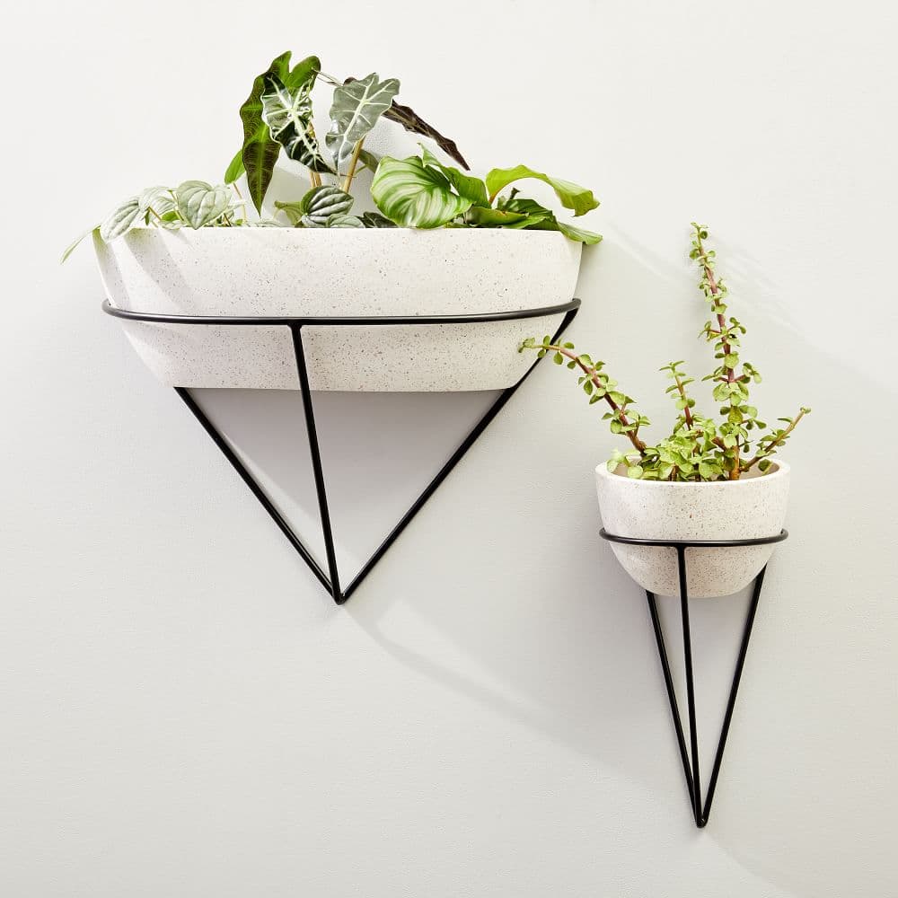 Iris Cement Indoor/Outdoor Wall Planters | West Elm