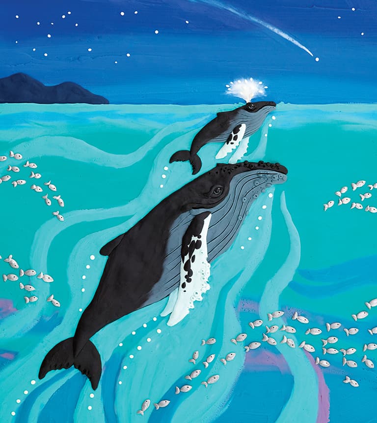 Portfolio — Barbara Reid